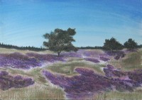 01Hoge_Veluwe_heide-met-bom