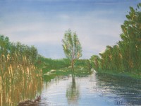 03Biesbosch_5