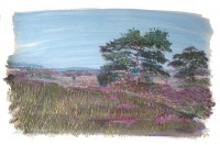 05HogeVeluwe_5_04