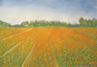 06Oranje-bollenveld